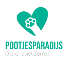 pootjesparadijs
